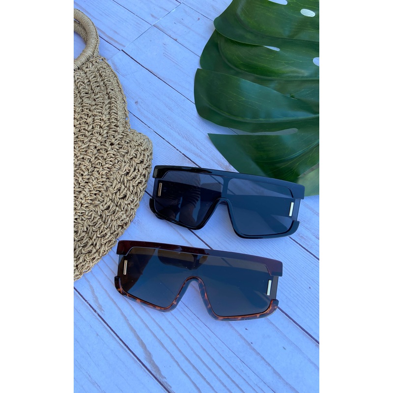 Sunglasses: 2 Piece Frame Oversized Sunnies