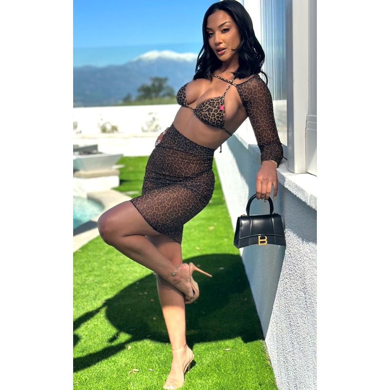 Alyssa: Mesh Outfit in Leopard Mesh