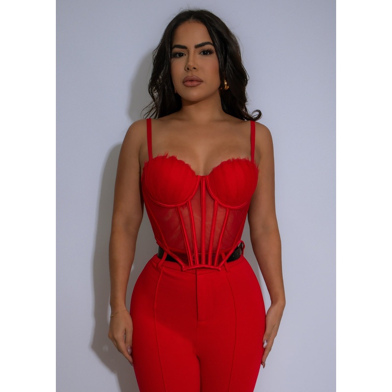 Obsidian Flame Mesh Crop Top Red