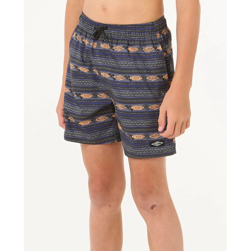 Raw Energy Stripe Volley Boardshorts - Boys (8-16 years)
