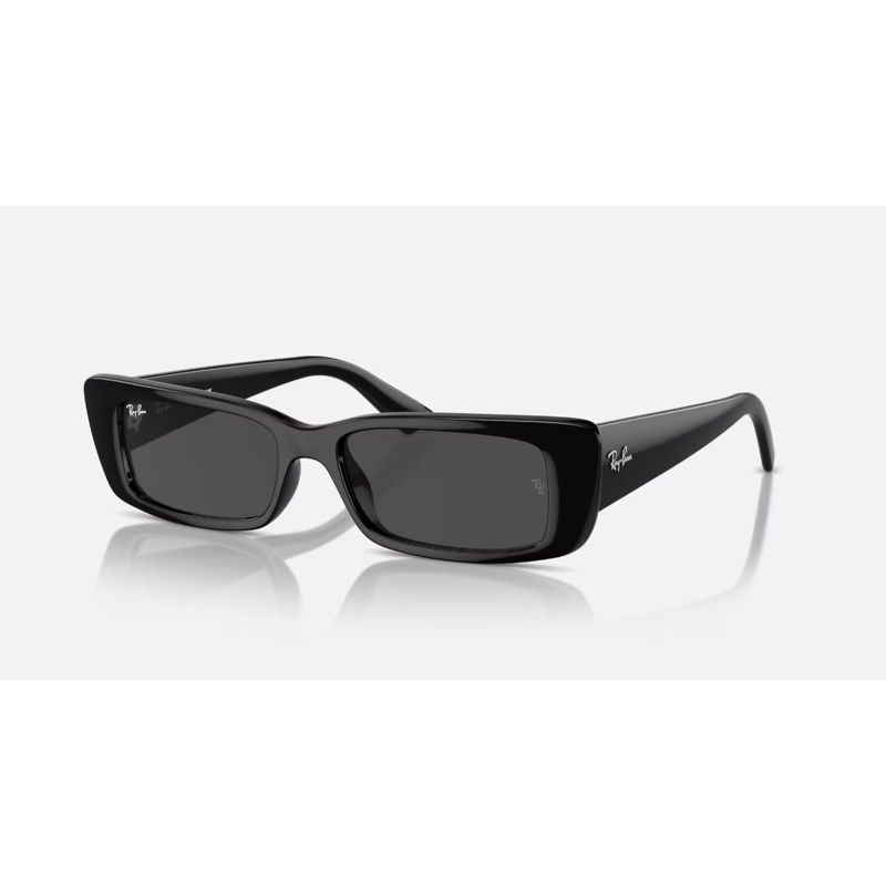 Ray Ban Teru Black - Dark Grey